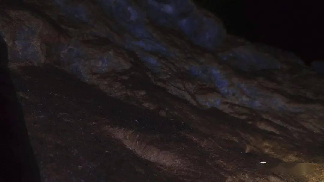哪位清楚厕所堵了怎么办疏通马桶有妙招游戏画面