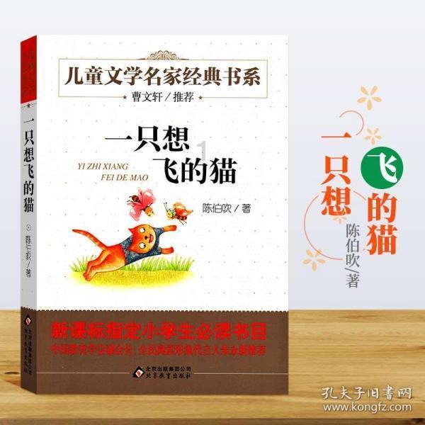 小艾比当海军
