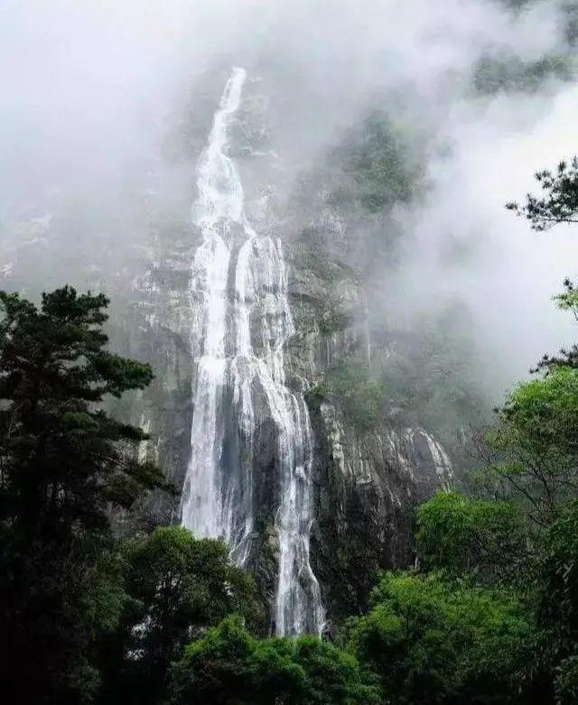 栀子花和白茶哪个味道好闻游戏画面